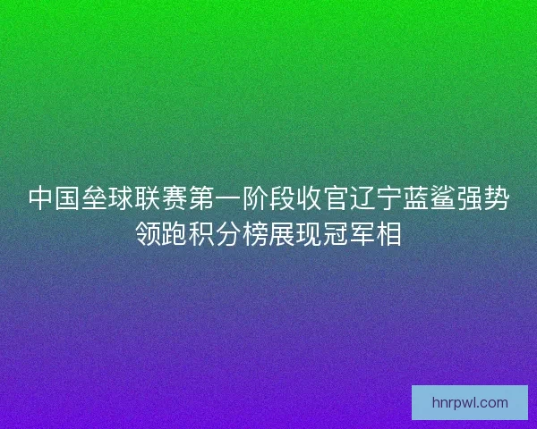 中国垒球联赛第一阶段收官辽宁蓝鲨强势领跑积分榜展现冠军相 中国垒球联赛第一阶段收官辽宁蓝鲨强势领跑积分榜展现冠军相